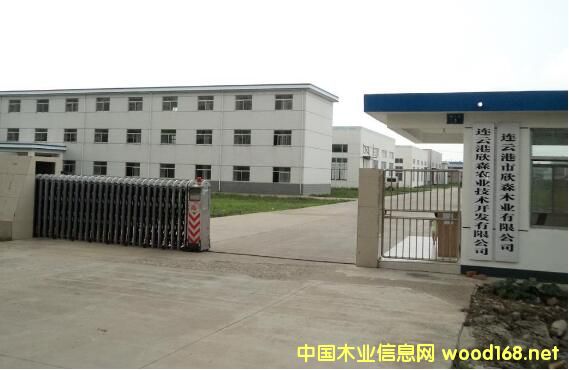 Ƹɭľҵ걨ʽ3000 ˺͸˫˫