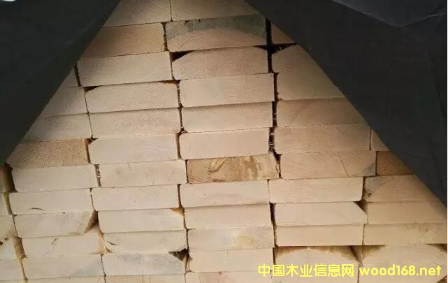 Ǽ۲ɱ ڻ辡磺5ľгչ