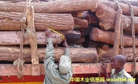 ĪɣȿľĽȫ,ľг9ľֱ!