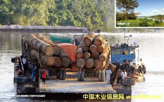 ľĲҵ԰Ѳ֮---FMCҾۼɢ