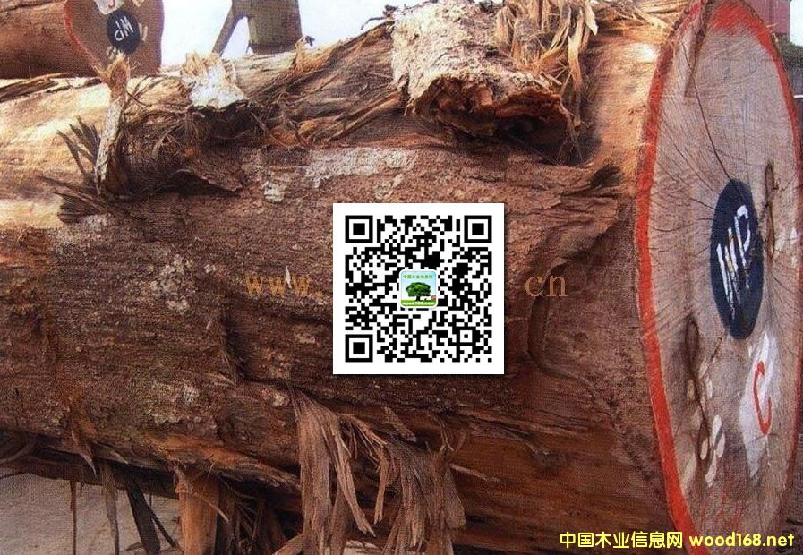 ľİٿƣƻţȸľƼᡢ˿ľ