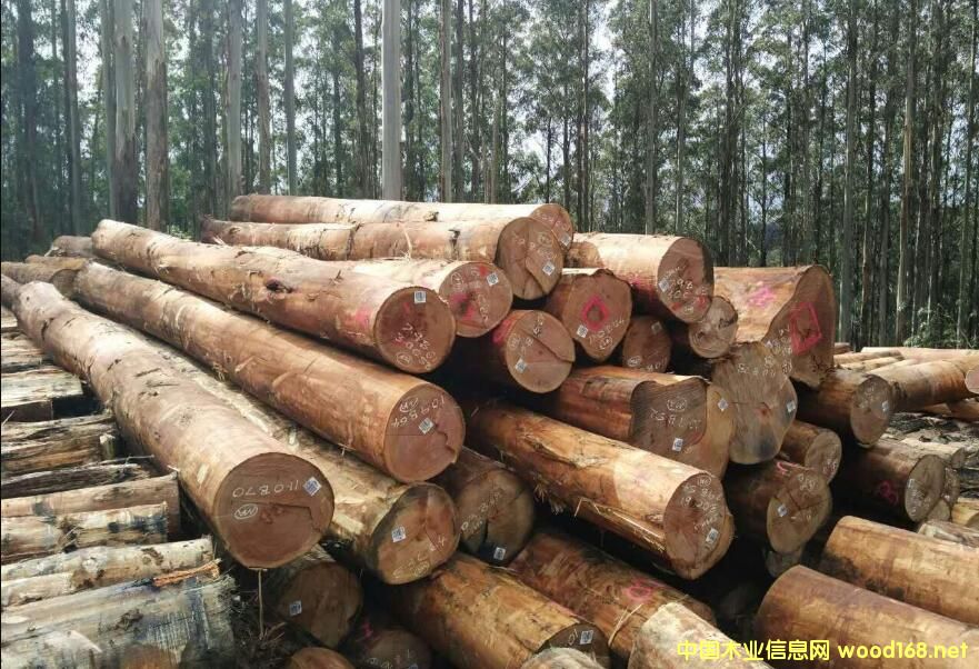 ָ̫۰Ľ ڰĴԭľǷλ