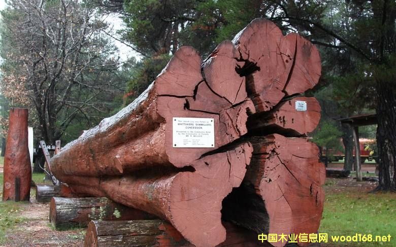 ľİٿƣľ񣩣׳ưѪ̴