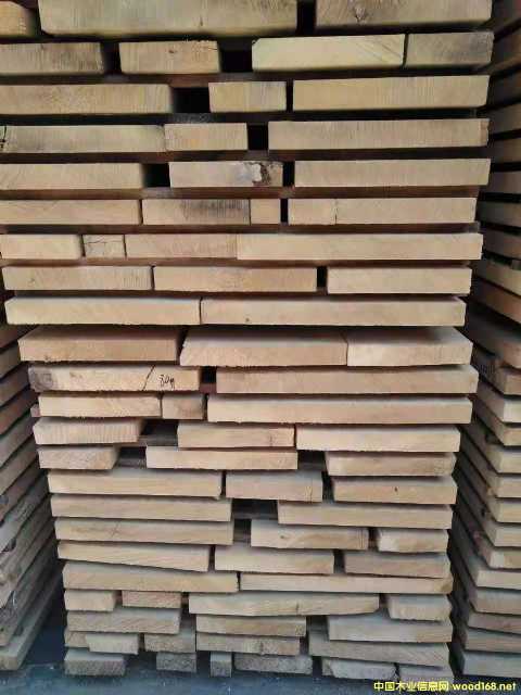 [] ӦľľģɱʯľGMELINA