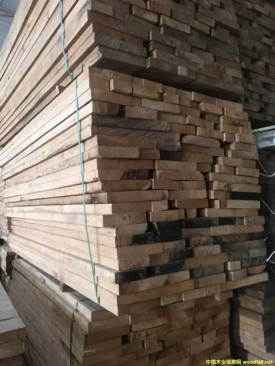 [] ӦľľģɱʯľGMELINA