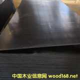 建筑模板厂家直销 杨木材质木板 现货批发 规格多样可定制