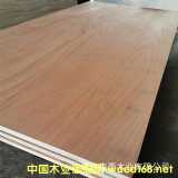 ൺɫһγоװðװ7-25