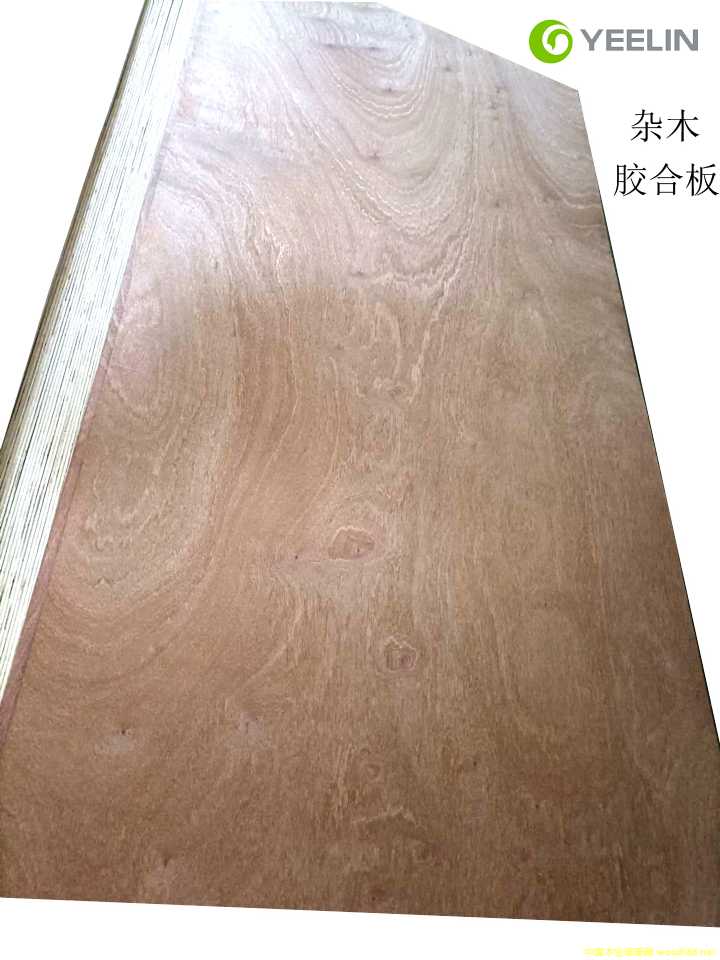 ��ľ���ϰ�