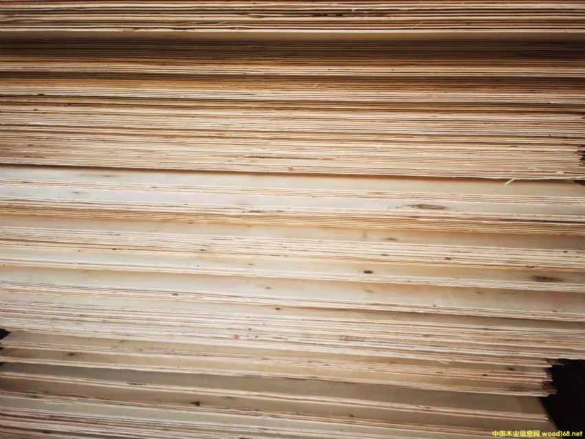 [] 12 15 18  ȫζҾ߰