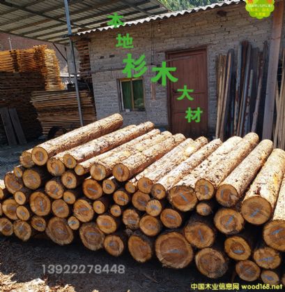 [] ھɼľ ɼľ ľ ޽ľľݶľ