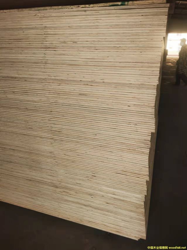 [] 12 15 18  ȫζҾ߰