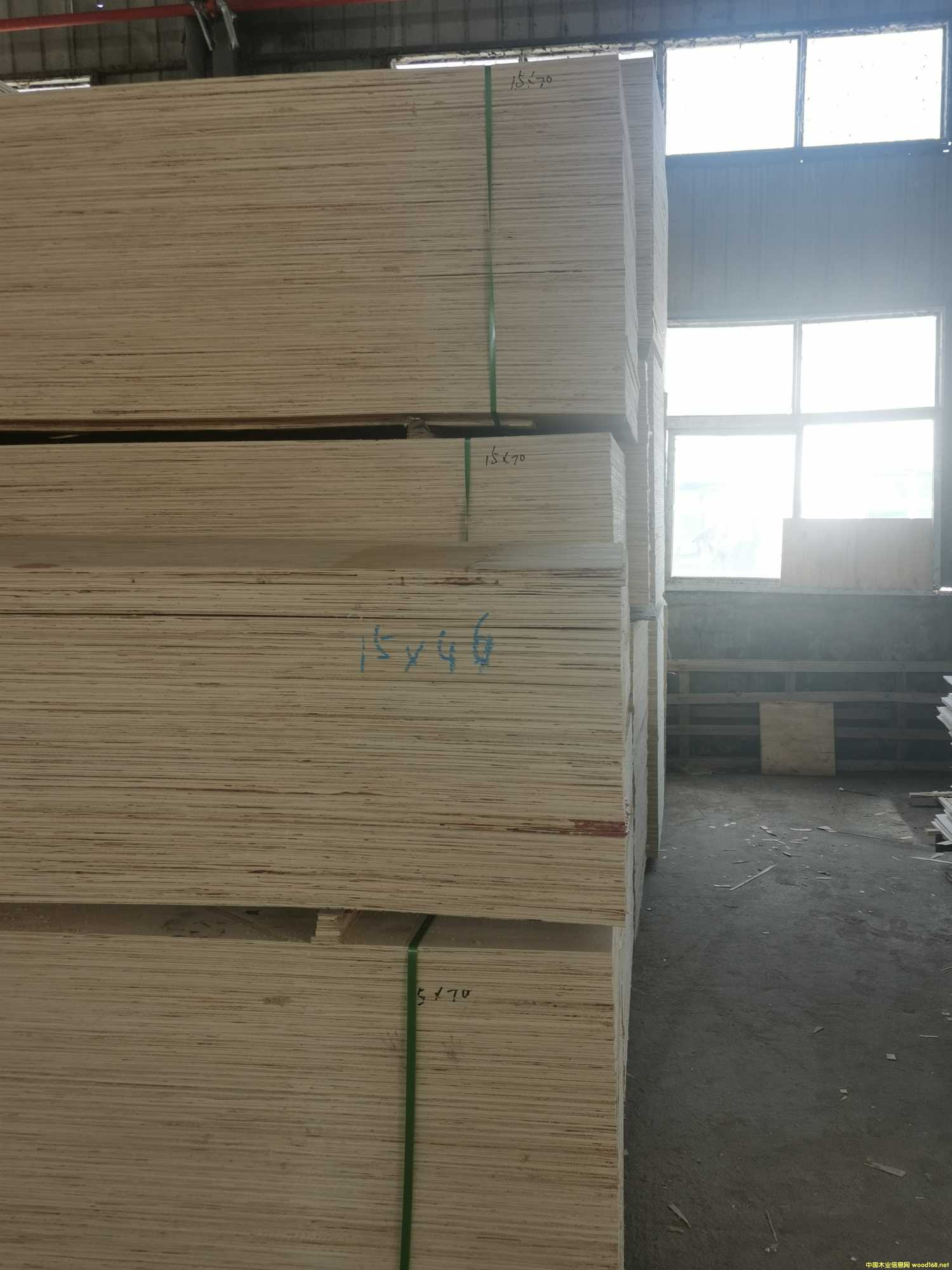 CARBP2E1E2 ľʮ ɳ ɶ