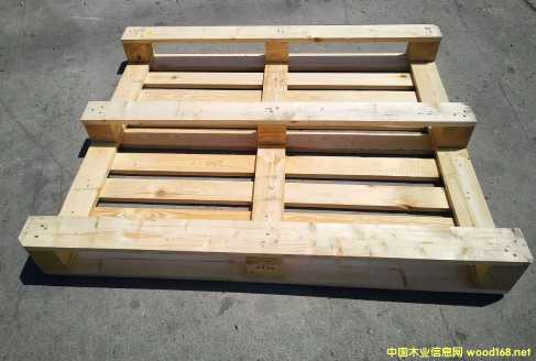 ����������ľ����