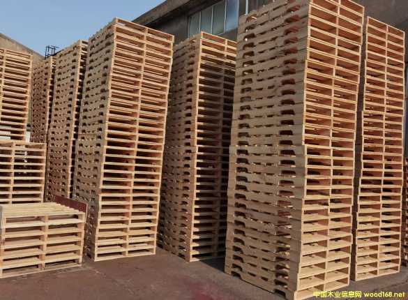 ����ľ����