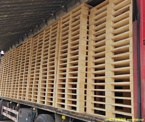 ����ľ��С��������