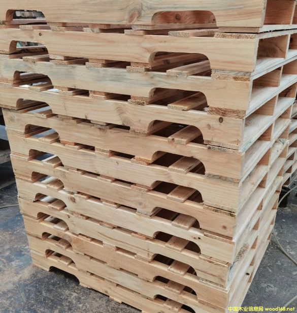 ����ľ���̳��ҵ���ϸ����