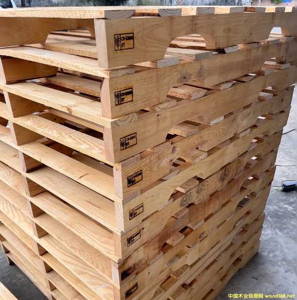 ��������ľ����