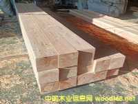 ���������ɡ������ɡ�������ɼ