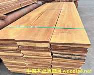 �����ľ����֬ľ��Ѫ����������̩��