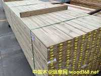 ����ľ����ľ������ľ����ľ������ľ