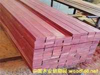 Ǫ��԰������ľ������ľ��������