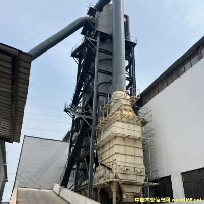 �ٻ���ѡ��