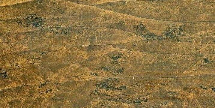 �����ư����ϸ����