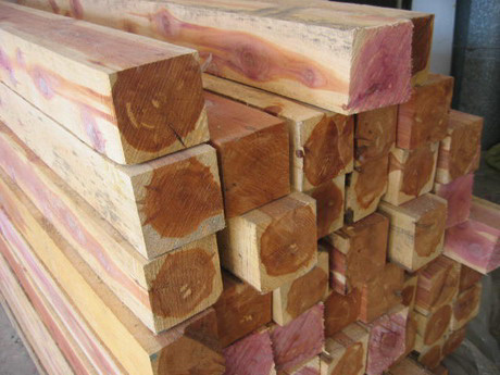 ɼ/Red cedarԭľͰĵϸ