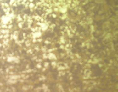 �������װ�ΰ����ϸ����