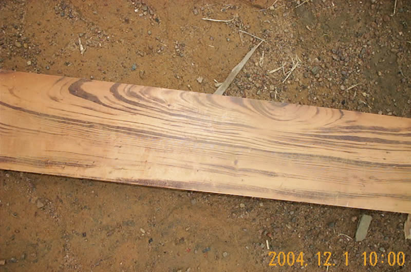 ����鿴MARACAJA�����������Ŵ�ͼƬ