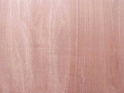 ���ϰ����ϸ����