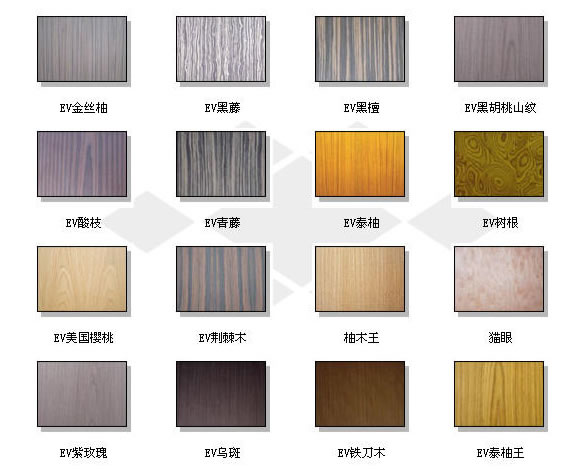 EV仿真木的详细介绍