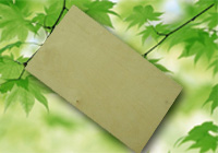 ����鿴birch�Ŵ�ͼƬ