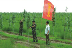 ����鿴��������ּ���9�Ż��طŴ�ͼƬ