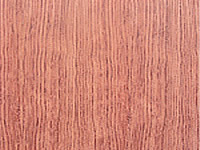 ��̴����ϸ����