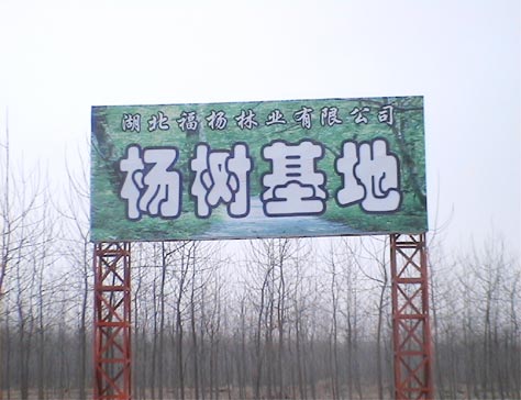 ����鿴��������Ŵ�ͼƬ