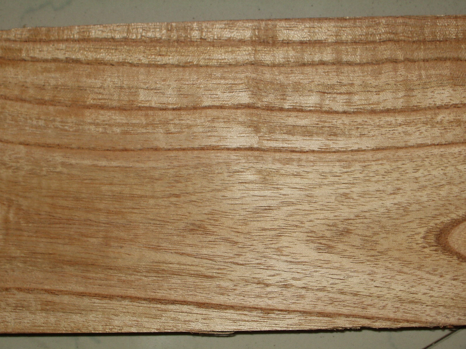 ����鿴�ľ�Ŵ�ͼƬ