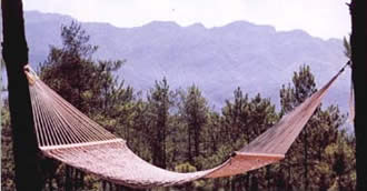 ����鿴Cotton Roag Hammock�Ŵ�ͼƬ