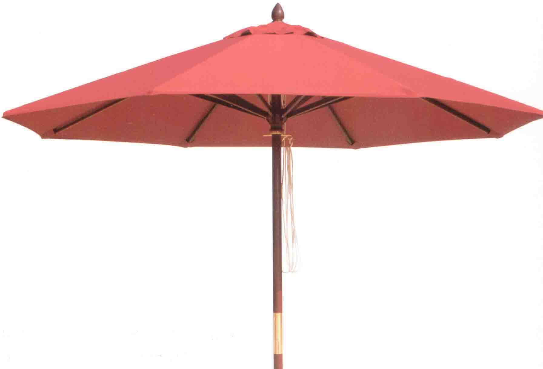 ����鿴sun umbrella����ϸ����