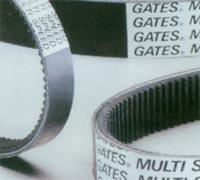 ����鿴����GATES�Ŵ�ͼƬ