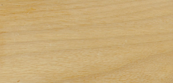 ľģTauari Rosa հϸ