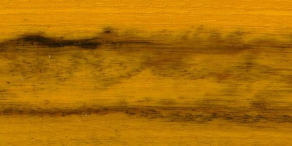 ľģSucupira Amarelaϸ