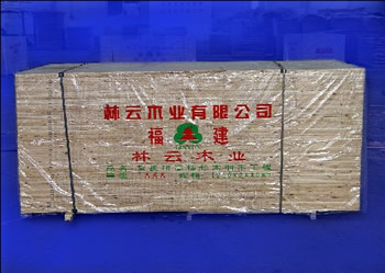 ����鿴ɼ��ľϸľ����Ŵ�ͼƬ